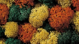 Dekorační mech Herbst od Noch