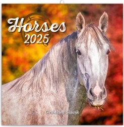 Poznámkový kalendář Koně 2025 od Christiane Slawik 30 × 30 cm