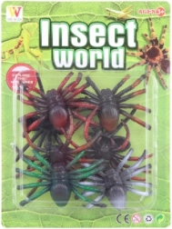 Sbírka pavouků na kartě