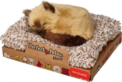 Perfect Petzzz malý siamský koťátko