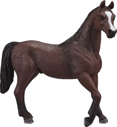 Mojo arabský hřebec