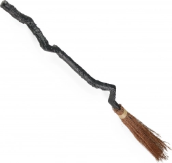 Čarodějnické koště