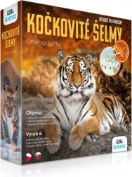 Exkurze do divočiny – kočkovité šelmy celého světa vzdělávací sada