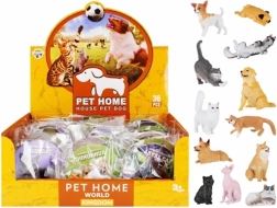 Naučná zvířata – psi a kočky s kartičkou a názvem druhu