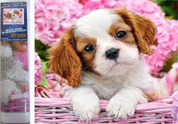 Diamantové malování štěně v růžovém košíku 30 × 40 cm