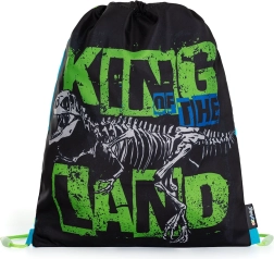 Sáček na cvičky Premium dinosaurus