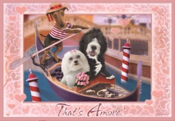 Puzzle To je láska 260 dílků