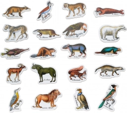 Zoologické Magnets