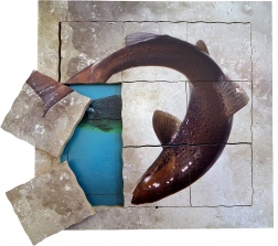 Just Jigsaws Losos a jeho životní cyklus - dřevěné vrstvené puzzle