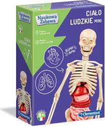 Vědecká sada lidské tělo mini