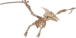 Woodcraft dřevěné 3D puzzle pterosaurus