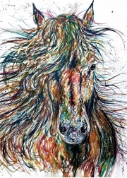 Puzzle ANATOLIAN vítr 500 dílků