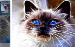 Diamantové malování Kočičí magie 30 × 40 cm
