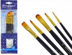 Sada uměleckých štětců 5 tvarů