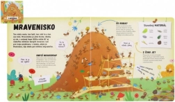 Kniha Čo se děje v mraveništi