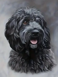 Diamantové malování černý cockapoo 30 × 40 cm