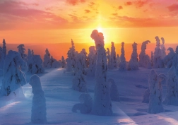 Puzzle Finská příroda 1000 dílků TREFL