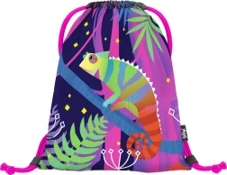 BAAGL sáček na obuv chameleon