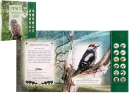 Zvuková kniha Ptáci našich lesů