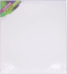 Malířské plátno 40 × 50 cm