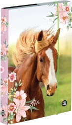 Box na sešity A5 s motivem koně