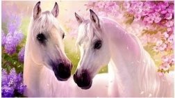 Diamantové malování – zamilovaní koně 30x40 cm NORIMPEX