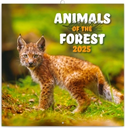 Poznámkový kalendář Zvířátka z lesa 2025, 30 × 30 cm