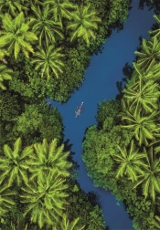 Puzzle s tropickým pohledem z ptačí perspektivy