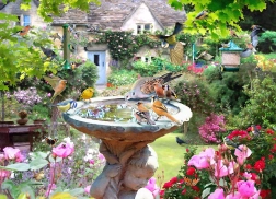 Puzzle Letní ptactvo 1000 dílků