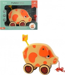 Prasátko na provázku