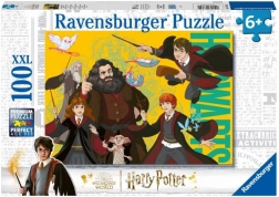Harry Potter: mladý čaroděj puzzle 100 dílků