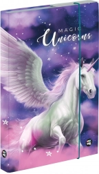 Box na sešity A4 Pegas