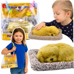 spící štěňátko labradora na polštářku s chlupatým kožíškem v přenosné tašce