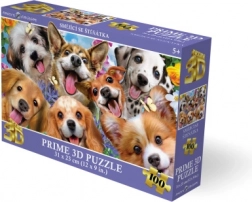 3D puzzle Smějící se štěňátka 100 dílků