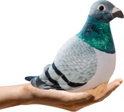 Plyšový holub hřivnáč 20 cm