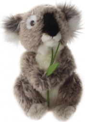 Plyšová koala 17 cm
