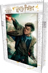 3D puzzle HARRY POTTER – Harry, 300 dílků