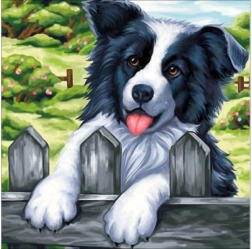 Diamantové vyšívání (diamond painting) obraz „Pes na plotě“ 30 × 30 cm - 1 kus