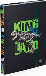 Box na sešity A4 Premium dinosaurus