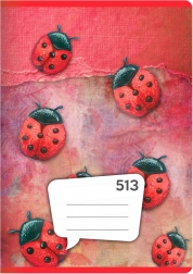 sešit a5, 10 listů – linkovaný 12 mm