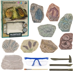 Paleontologická sada vykopávek sádrový blok s nástroji