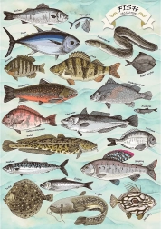 Puzzle TREFL Premium Plus Finders Keepers: ryby 500 dílků