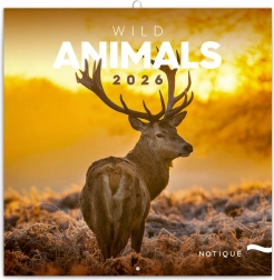 Poznámkový kalendář Divoká zvířata 2026
