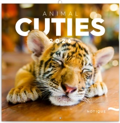 Poznámkový kalendář Mláďata 2026