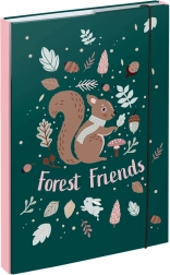 Desky na školní sešity A4 s motivem veverky BAAGL