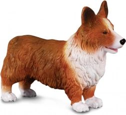 Figurka Welsh Corgi od CollectA