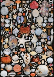 Puzzle Z pláže 1000 dílků PIATNIK