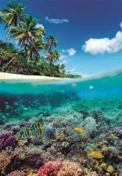 Puzzle Letní ráj 1000 dílků od Clementoni