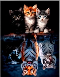 Diamantové malování – kočky a šelmy 30 × 40 cm