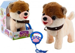 Interaktivní pejsek na vodítku